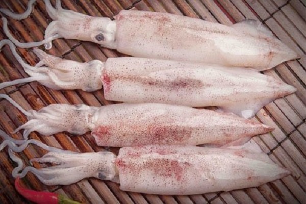 mực chiên xù