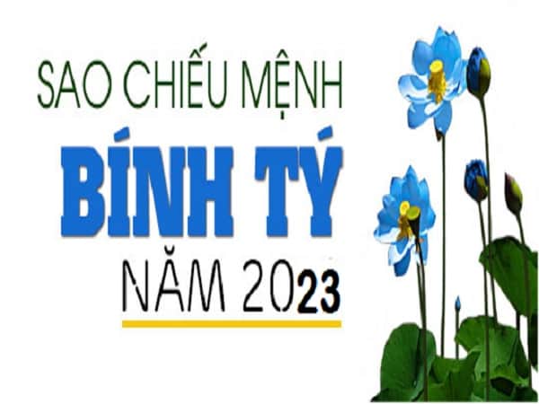 Luận vận hạn tuổi Bính Tý 1996 nữ mạng năm 2023