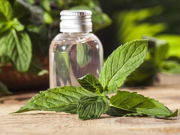 Mẹo vặt chữa hôi miệng thần thánh cực dễ thực hiện