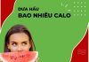 100g dưa hấu bao nhiêu calo? Giảm cân với dưa hấu hiệu quả