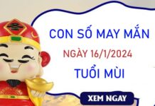 Con số may mắn tuổi Mùi 16/1/2024 – Hôm nay đánh con gì? Con số may mắn tuổi Mùi 16/1/2024 – Hôm nay đánh con gì?
