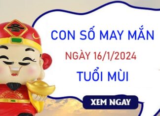 Con số may mắn tuổi Mùi 16/1/2024 – Hôm nay đánh con gì?