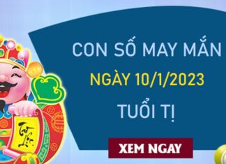 Con số may mắn tuổi Tị 10/1/2024 – Hôm nay đánh con gì?