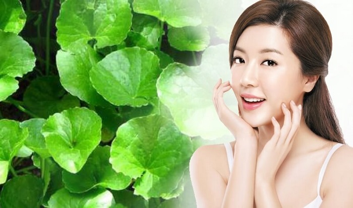 Hướng dẫn cách làm trắng da từ rau má