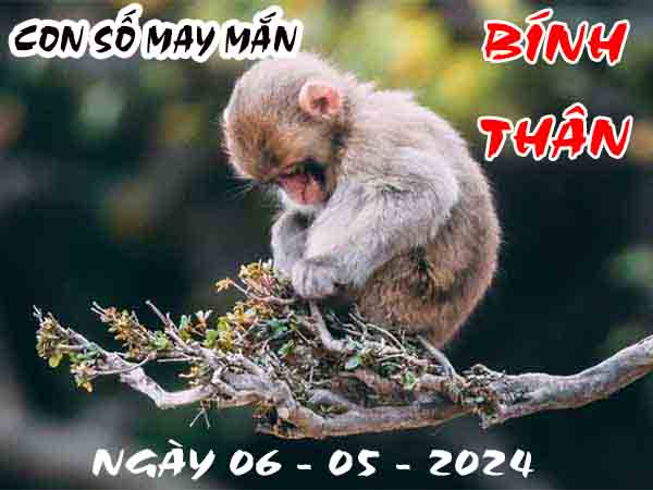 Thông tin con số may mắn tuổi Bính Thân ngày 6/5/2024