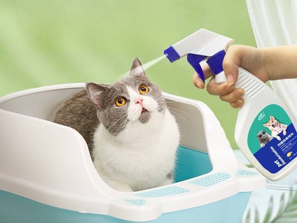 Cách khử mùi nước tiểu mèo Cách khử mùi nước tiểu mèo