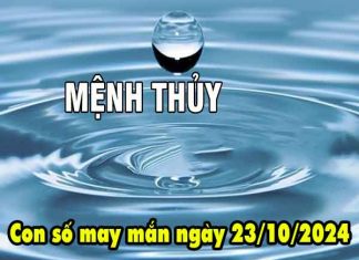 Thống kê con số phát lộc người mệnh Thủy ngày 23/10/2024 thứ 4 hôm nay