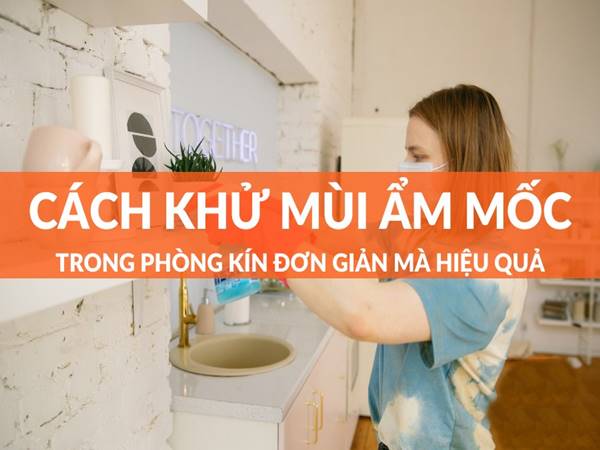 Cách khử mùi ẩm mốc trong phòng