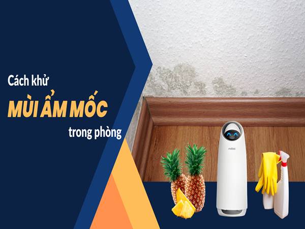 Cách khử mùi ẩm mốc trong phòng ngủ