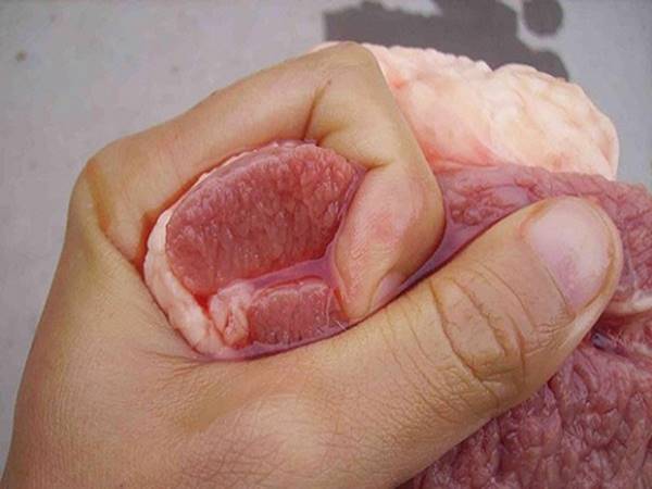 Vì sao thịt lợn bị hôi