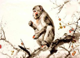 Tử vi tuổi Thân hôm nay 10/4/2025, tài chính khởi sắc