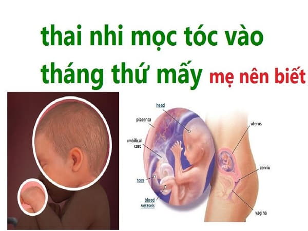 Bầu ho mọc tóc tháng thứ mấy?