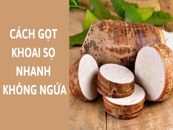 Vì sao khoai sọ dễ gây ngứa?