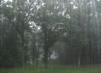 Giấc mơ thấy trời mưa tiềm ẩn thông điệp may hay rủi?