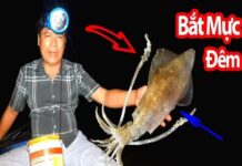 Giải mã nằm mơ thấy bắt mực tốt hay xấu, số gì lộc phát