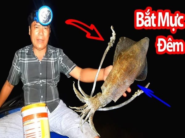 Giải mã chi tiết các giấc mơ thấy bắt mực